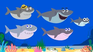 Акулёнок - Котёнок Котэ и Первый музыкальный канал для детей - Песенки для детей