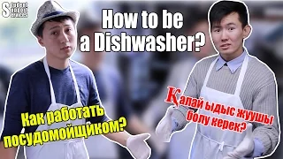 Особенности работы посудомойщика (Dishwasher) в США, Work&Travel