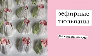 Зефирные тюльпаны🌷Секреты отсадки зефирных тюльпанов. Почему не получаются зефирные тюльпаны?