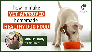 Homemade and Healthy Dog Food Recipe | Vet Approved