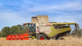 Harvest 2022 ~ CLAAS Lexion 5400 ! Doyle Produce