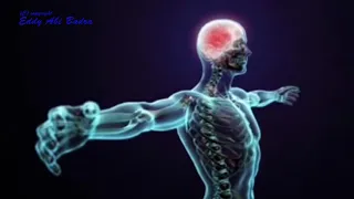 Nerves Regeneration Sound Therapy   موسيقى نبضية مخصصة لعلاج الجهاز العصبي و تجديد خلاية الاعصاب