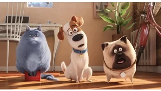 Тайная жизнь домашних животных  The Secret Life of Pets часть 2