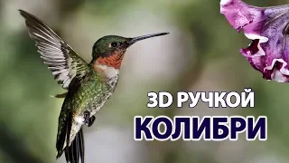 3D PEN | COLIBRI | КАК НАРИСОВАТЬ КОЛИБРИ 3D РУЧКОЙ? | 2019