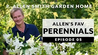 Perennials | FAQ: Garden Home VLOG (2019) 4K