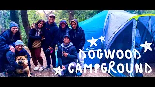 Dogwood Campground Family Camping Vlog | Lake Arrowhead CA | 4K |