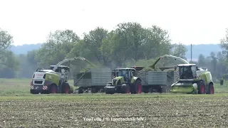 Claas-Fendt / Erster Schnitt - First Cut  2019  pt.2