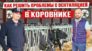 Установка вентиляции в коровнике | Оборудование фермы | Реконструкция коровника | Содержание КРС