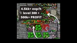 TIBIA BEST KNIGHT SPAWNS - DEEPER BANUTA -8 - EXP 4.5KK/H+  LVL 300+ - 500K+ PROFIT [ENG]