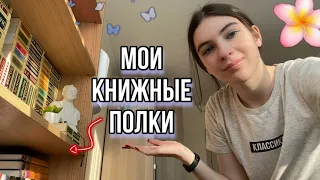 Мои книжные полки 3.0 😱📚