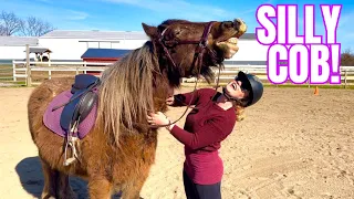 Another Saddle Experiment on My Gypsy Vanner Horse! Update on Mushu's Training