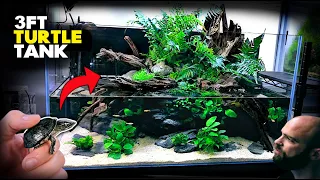 Aquascape Tutorial: 💚 3ft TURTLE Aqua Terrarium | Paludarium | Aquarium (How To: Planted Tank Guide)