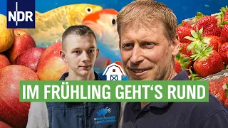 Tierisch was los | Die Nordreportage | NDR