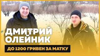 Дмитрий Олейник – 10000 маток, цены на матки, Бакфаст