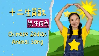 十二生肖歌⎮⎮幼儿律动⎮儿童舞蹈⎮Chinese Zodiac Animals Song⎮English Sub⎮Kids Dance