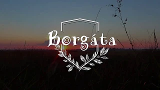 Borgáta imázsfilm 2019.