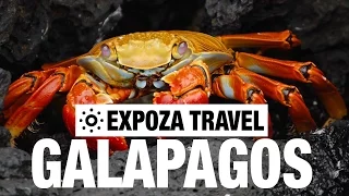 Galapagos Islands Vacation Travel Video Guide