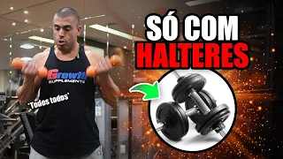 Só exercícios com halteres - todos os grupos musculares