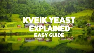 Kveik Yeast Explained Easy Guide for Beer Brewers