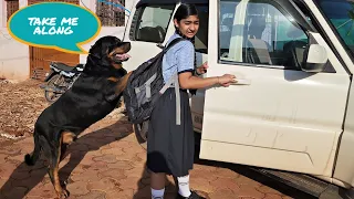 1st day at new school | emotional dog video | funny dog videos |