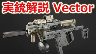 地味な詐欺商品 クリスベクター【実銃解説】NHG