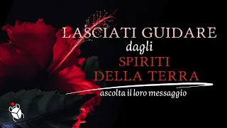 LASCIATI GUIDARE DAGLI SPIRITI DELLA TERRA. Lettura interattiva