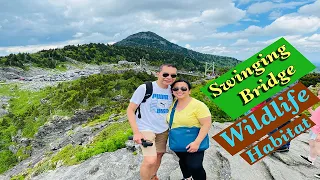 Grandfather Mountain, a North Carolina State Park - What to see and do in 2021