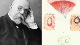 Robert Koch  y sus aportes a la Microbiologia