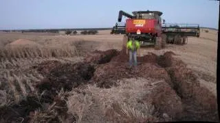 2010 Harvest fun and games.avi