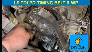 VW Golf 1.9 TDI PD Timing belt & water pump replacement