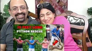 Saving 4 Python Snakes🐍🐍🐍🐍 - इसने ऐसा जकड़ा, छुड़ाना मुश्किल हो गया😱 | Indian Americans React ! 😲