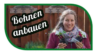 Bohnen anbauen 🌱 Unsere Tipps für Stangenbohnen und Buschbohnen