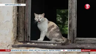 Кидали гранати для розваги та викрадали труси: що москолота виробляла на Херсонщині