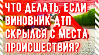 Что делать, если виновник ДТП скрылся с места происшествия?