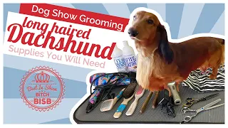 Dog Show Grooming: How to Groom a Longhaired Dachshund  & the Supplies You Need