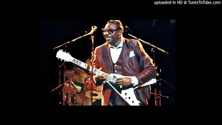 Albert King - 01 The sky is crying - Live @ Stockholm, Sweden (October 1988)