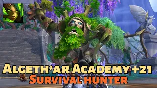 Survival Hunter 140k DPS. +21 Algeth'ar Academy (Dragonflight Mythic+ Season 1)