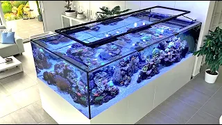 Das 3.300 Liter Meerwasser Aquarium von Martin Kunzelnick - ein Meerwasser Hausbesuch