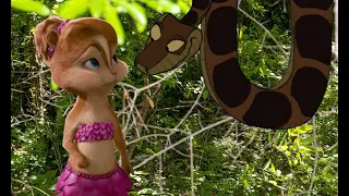 Brittany Chipette And Kaa Encounter