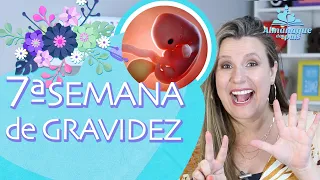 7ª SEMANA DE GESTAÇÃO | Tamanho do bebê, Corpo da Gestante, Dicas | 1º TRIMESTRE DE GRAVIDEZ