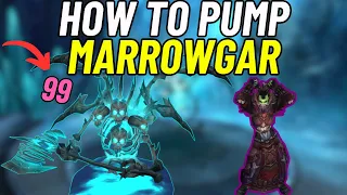 How to PUMP Marrowgar | Demo Warlock | Wotlk Classic - ICC