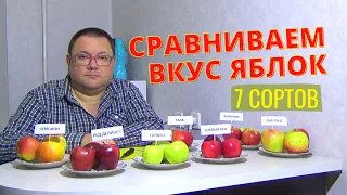 Дегустация яблок. Сравниваем вкус 7 сортов яблок