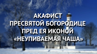 Акафист Пресвятой Богородице пред Ея иконой «Неупиваемая Чаша».