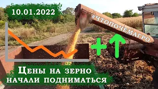 Цены на зерно и удобрение 10.01.2022 #ЧТОПОЧЕМАГРО