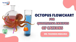 Octopus Flowchart for Qualitative Analysis of Cations | Mr. Thaddeus Mbaluka