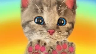 Little Kitten - My Favorite Cat 😻 Little Kitten School Friends Education Cartoon Animation for Kids