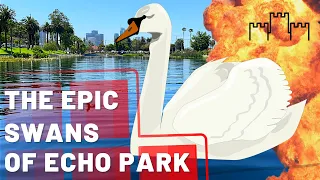 The EPIC SWANS of Echo Park with Castle Valdez