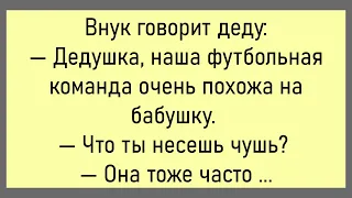 🤡Жена Поменяла В Доме Шторы...Большой Сборник Смешных Анекдотов,Для Супер Настроения!