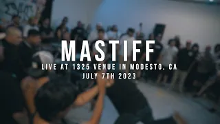 (197 Media) Mastiff - 07/07/2023