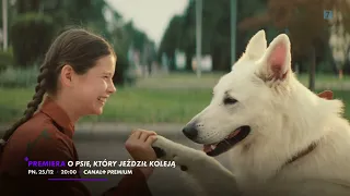 O PSIE, KTÓRY JEŹDZIŁ KOLEJĄ / CANAL+